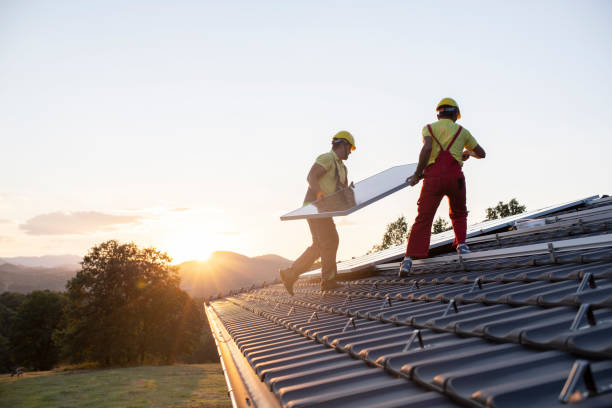 Best Roof Maintenance and Cleaning  in San Leandro, CA