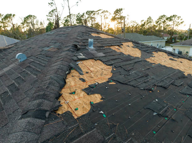 Best Roof Coating and Sealing  in San Leandro, CA